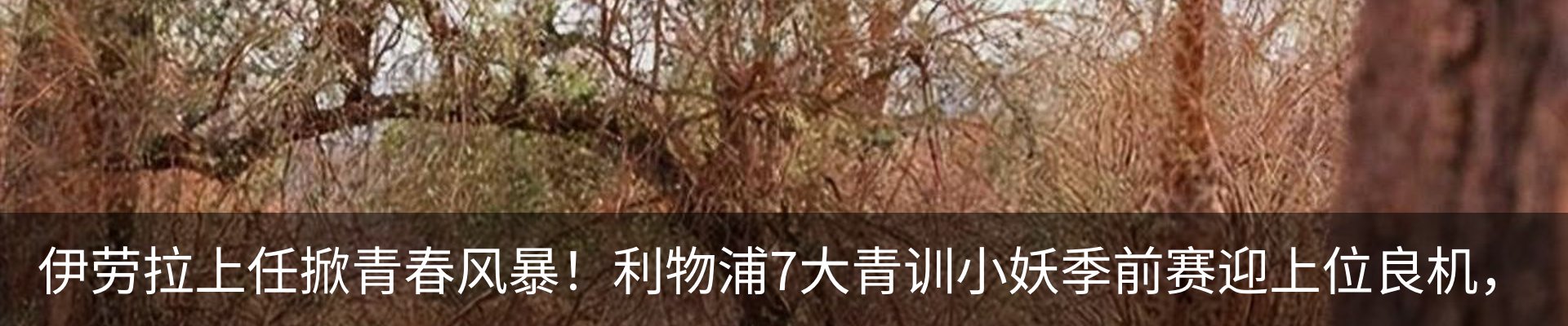 内页banner