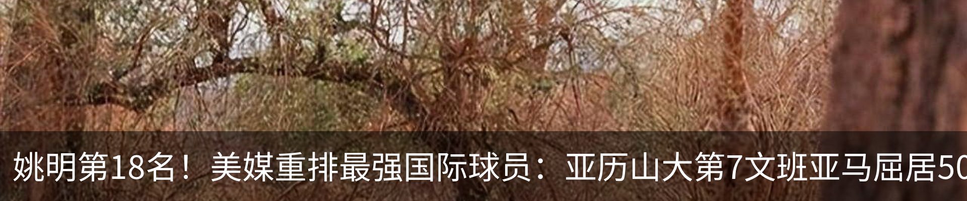内页banner