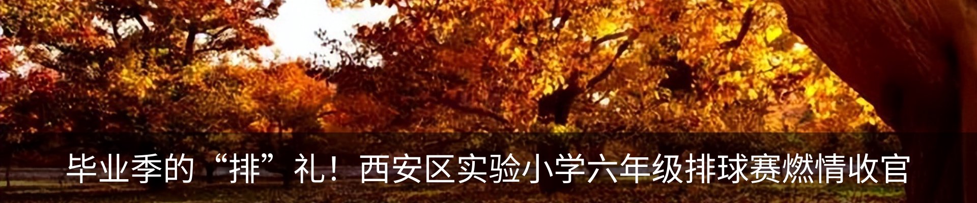 内页banner