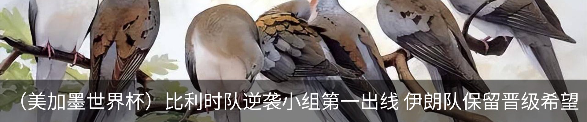内页banner
